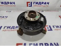 Кулак поворотный задний левый Renault Kaptur 430194050R.