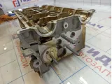 Головка блока Renault Kaptur 110417119R.