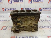 Блок двигателя Renault Kaptur 110107367R.