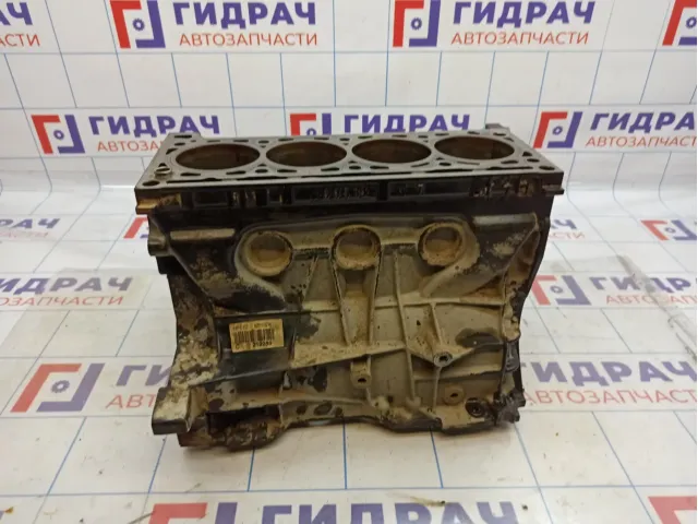 Блок двигателя Renault Kaptur 110107367R.