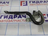 Петля капота левая Renault Kaptur 654018586R.