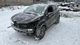 Амортизатор двери багажника Renault Kaptur 904518867R.