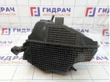 Корпус воздушного фильтра Renault Kaptur 165001258R