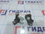 Петли двери передней правой Renault Kaptur