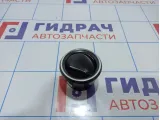 Дефлектор воздушный Renault Kaptur 687606466R