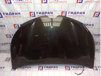 Капот Renault Kaptur 651001118R