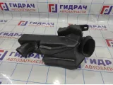 Резонатор воздушного фильтра Renault logan 2 Stepway 165856598R.