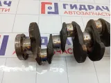 Коленвал Renault Logan 8200416789