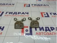 Петли двери передней правой Renault Logan