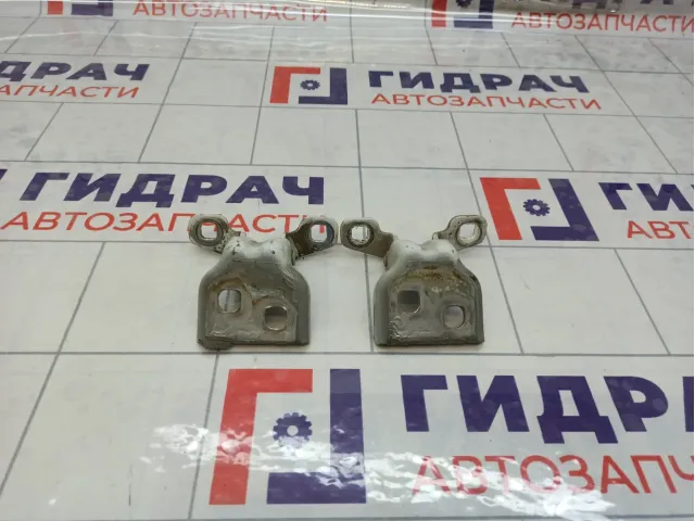 Петли двери задней левой Renault Logan