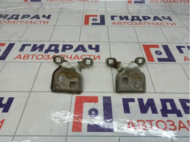 Петли двери задней правой Renault Logan