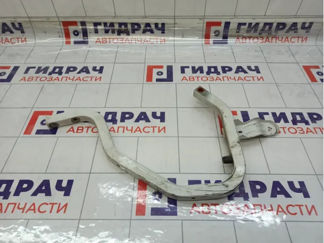 Петля багажника Renault Logan 6001546879