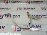 Петля багажника Renault Logan 6001546880