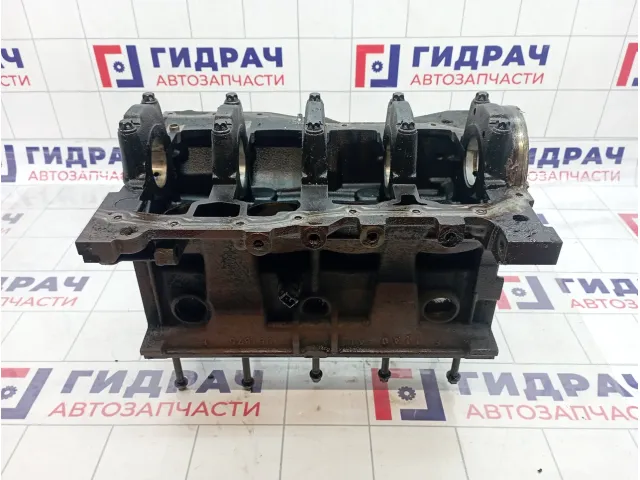 Блок двигателя Renault Logan 6001549035
