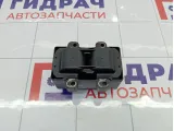 Катушка зажигания Renault Logan 224336134R