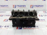 Блок цилиндров Renault Logan 6001549035