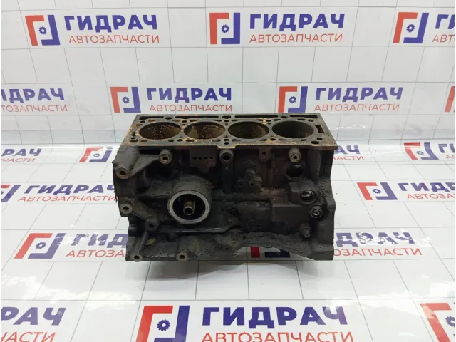 Блок цилиндров Renault Logan 6001549035