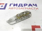 Плафон салонный Renault Logan 8200073231.