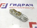 Плафон салонный Renault Logan 8200073231.