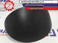 Накладка панели приборов Renault Logan 6001547578.