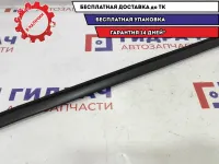 Уплотнитель стекла двери задней правой Renault Logan 6001548976.
