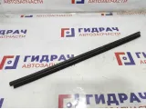 Уплотнитель стекла двери задней правой Renault Logan 6001548976.