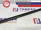 Уплотнитель стекла двери задней левой Renault Logan 6001547009.