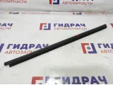 Уплотнитель стекла двери задней левой Renault Logan 6001547009.