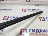 Уплотнитель стекла двери задней левой Renault Logan 6001547009.