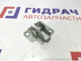 Крепеж петли багажника Renault Logan 6001546881.
