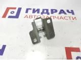 Крепеж петли багажника Renault Logan 6001546881.