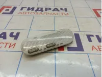 Плафон салонный Renault Logan 8200073231