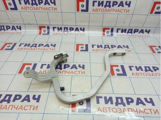 Петля крышки багажника левая Renault Logan 6001546879