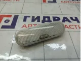 Плафон салонный Renault Logan 8200074362