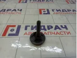 Крепление (болт) запасного колеса Renault Logan 7703041034