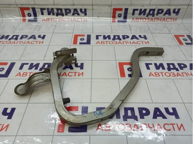 Петля багажника правая Renault Logan 6001546880