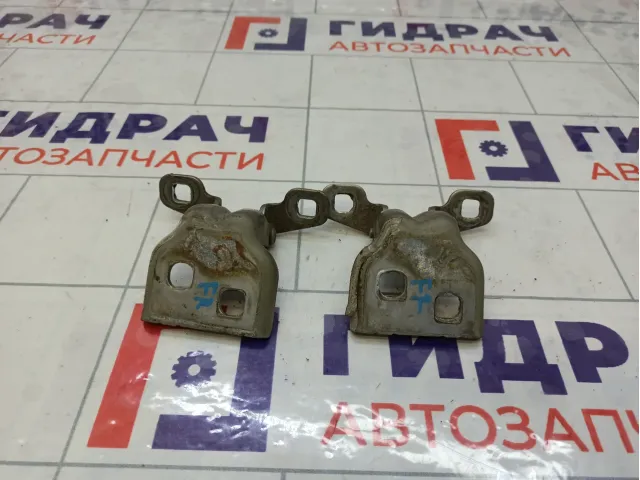 Петли двери передней правой Renault Logan