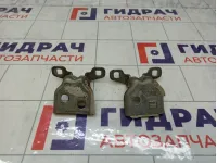 Петли двери задней левой Renault Logan