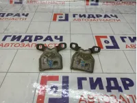 Петли двери задней правой Renault Logan