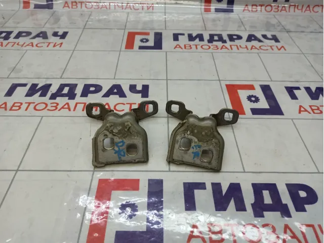 Петли двери задней правой Renault Logan