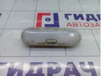 Плафон салонный Renault Logan 8200074362