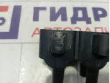 Катушка зажигания Renault Logan 224336134R