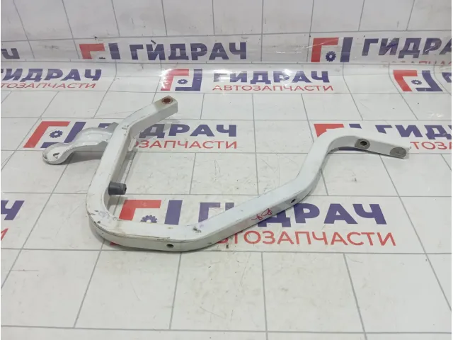 Петля багажника правая Renault Logan 6001546880