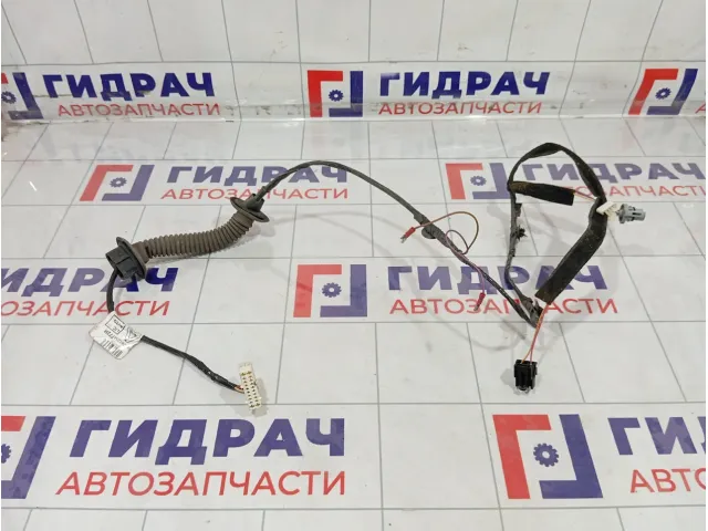 Проводка двери передней правой Renault Logan 241254772R