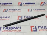 Уплотнитель стекла заднего левого Renault Logan 6001547009