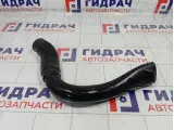 Патрубок воздушного фильтра Renault Logan 165569445R