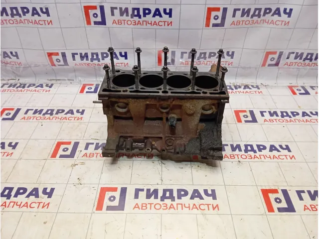Блок двигателя Renault Logan 2 110108138R