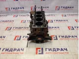 Блок двигателя Renault Logan 2 110108138R