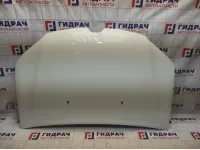 Капот Renault Logan 2 651002659R