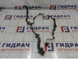 Проводка двери задней правой Renault Logan 2 241261266R
